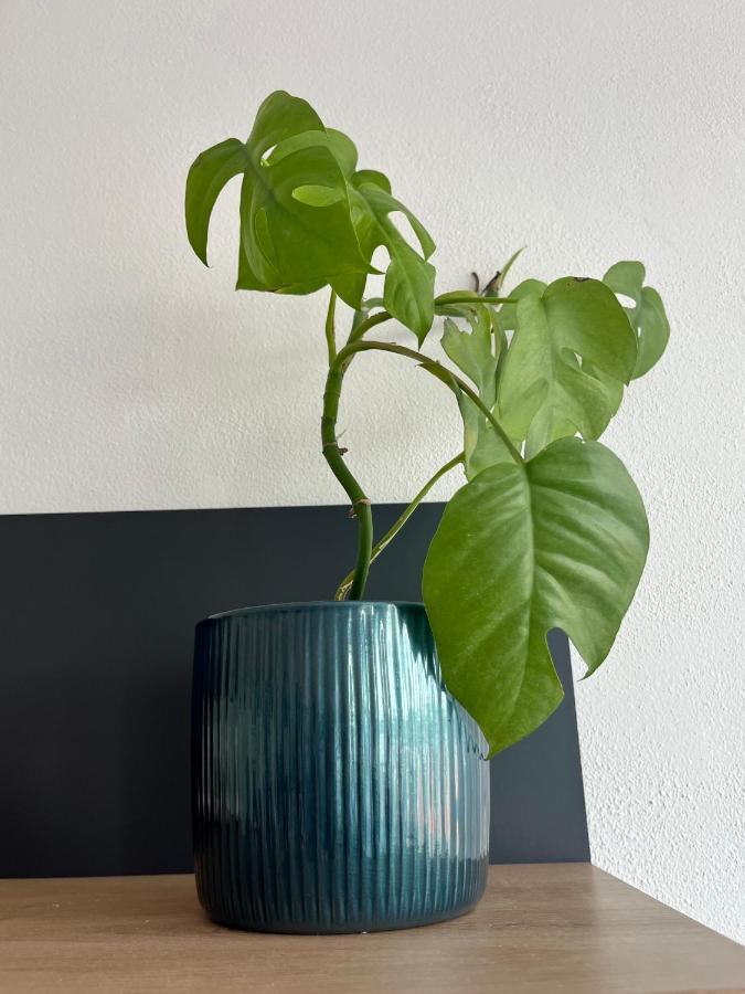 Monstera I Apartment Kolin Ngoại thất bức ảnh
